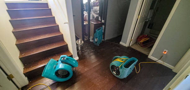 Best 24-hour water damage restoration  in Willamina, OR