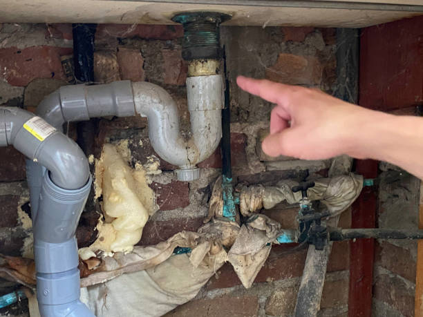 Best Water damage mitigation services  in Willamina, OR